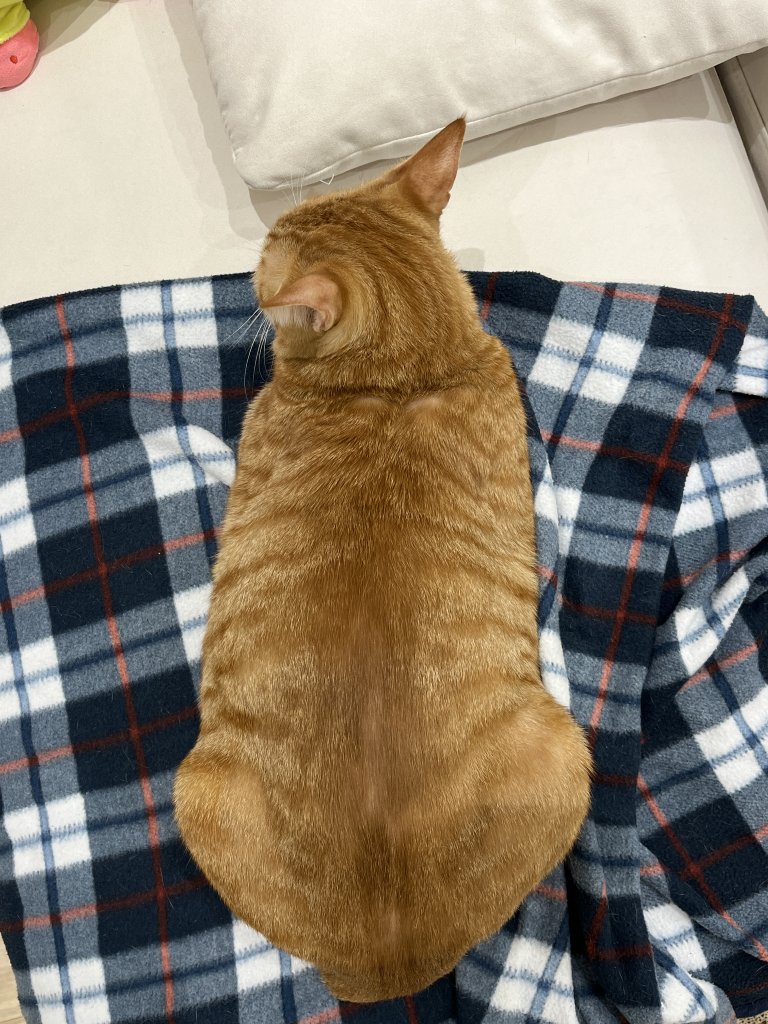 F125_KakaoTalk_20251212_151918707_17.jpg