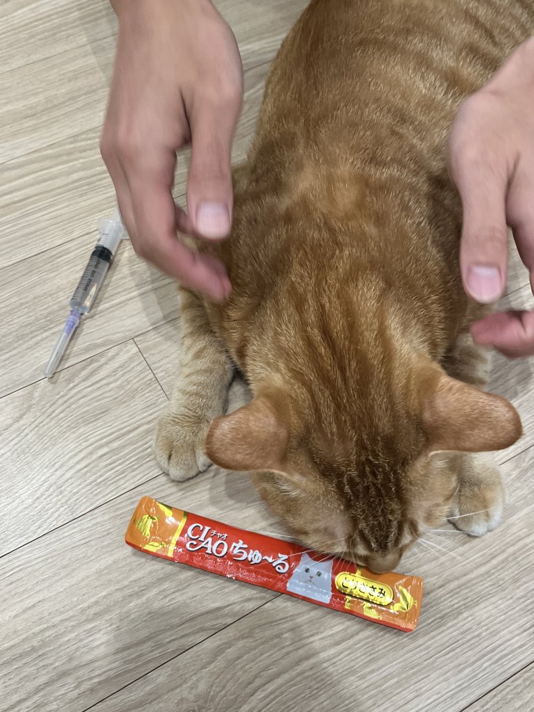 F122_KakaoTalk_20251212_151918707_09.jpg